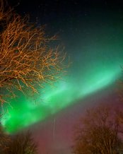 Nordlichter leuchten in lebhaften Grün- und Rottönen über einem verschneiten Feld, während der Nachthimmel mit Sternen übersät ist.