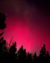 Nordlichter leuchten in lebhaften Grün- und Rottönen über einem verschneiten Feld, während der Nachthimmel mit Sternen übersät ist.