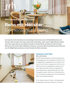 Hund liegt auf einem Teppich in einem hellen Raum mit Möbeln. Ein Tennisball liegt auf dem Boden. Text über Reha mit Haustier im Hintergrund.