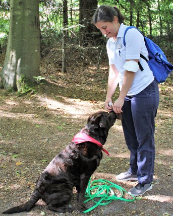 Eine Person steht in einem Wald und gibt einem sitzenden Hund mit rotem Halstuch ein Leckerli. Der Hund schaut aufmerksam zur Person auf, während eine grüne Leine neben ihm liegt.