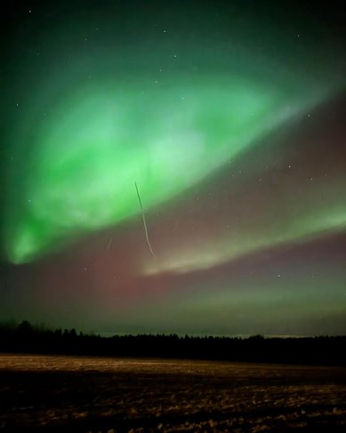 Nordlichter leuchten in lebhaften Grün- und Rottönen über einem verschneiten Feld, während der Nachthimmel mit Sternen übersät ist.