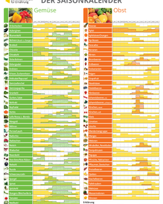 Saisonkalender für Gemüse und Obst, zeigt die Verfügbarkeit verschiedener Sorten in den Monaten des Jahres. Links sind Gemüse, rechts Obst aufgelistet, mit farbigen Markierungen zur Veranschaulichung der Saisonzeiten.