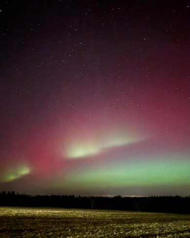 Nordlichter leuchten in lebhaften Grün- und Rottönen über einem verschneiten Feld, während der Nachthimmel mit Sternen übersät ist.