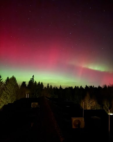 Nordlichter leuchten in lebhaften Grün- und Rottönen über einem verschneiten Feld, während der Nachthimmel mit Sternen übersät ist.