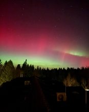 Nordlichter leuchten in lebhaften Grün- und Rottönen über einem verschneiten Feld, während der Nachthimmel mit Sternen übersät ist.