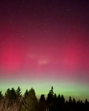 Nordlichter leuchten in lebhaften Grün- und Rottönen über einem verschneiten Feld, während der Nachthimmel mit Sternen übersät ist.
