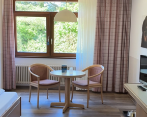 Ein helles Zimmer mit einem Bett, einem runden Tisch und zwei Stühlen. Große Fenster lassen Tageslicht herein und bieten Blick ins Grüne.
