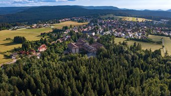Luftaufnahme eines kleinen Dorfes umgeben von Wäldern und Feldern, mit Wohnhäusern und landwirtschaftlichen Flächen im Hintergrund.