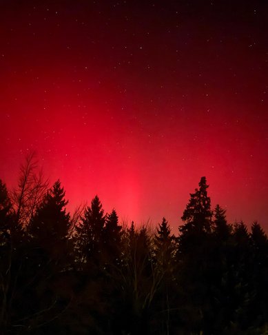 Nordlichter leuchten in lebhaften Grün- und Rottönen über einem verschneiten Feld, während der Nachthimmel mit Sternen übersät ist.