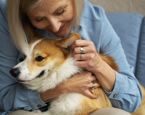 Eine Frau umarmt einen Corgi-Hund auf einem Sofa, lächelnd und liebevoll, während sie ihn streichelt.
