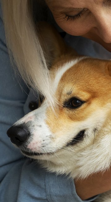Eine Frau umarmt einen Corgi-Hund auf einem Sofa, lächelnd und liebevoll, während sie ihn streichelt.
