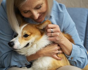 Eine Frau umarmt einen Corgi-Hund auf einem Sofa, lächelnd und liebevoll, während sie ihn streichelt.