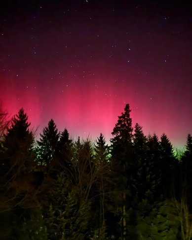 Nordlichter leuchten in lebhaften Grün- und Rottönen über einem verschneiten Feld, während der Nachthimmel mit Sternen übersät ist.